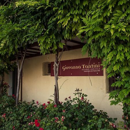 Agriturismo I Mischi Castelnuovo del Garda Dış mekan fotoğraf