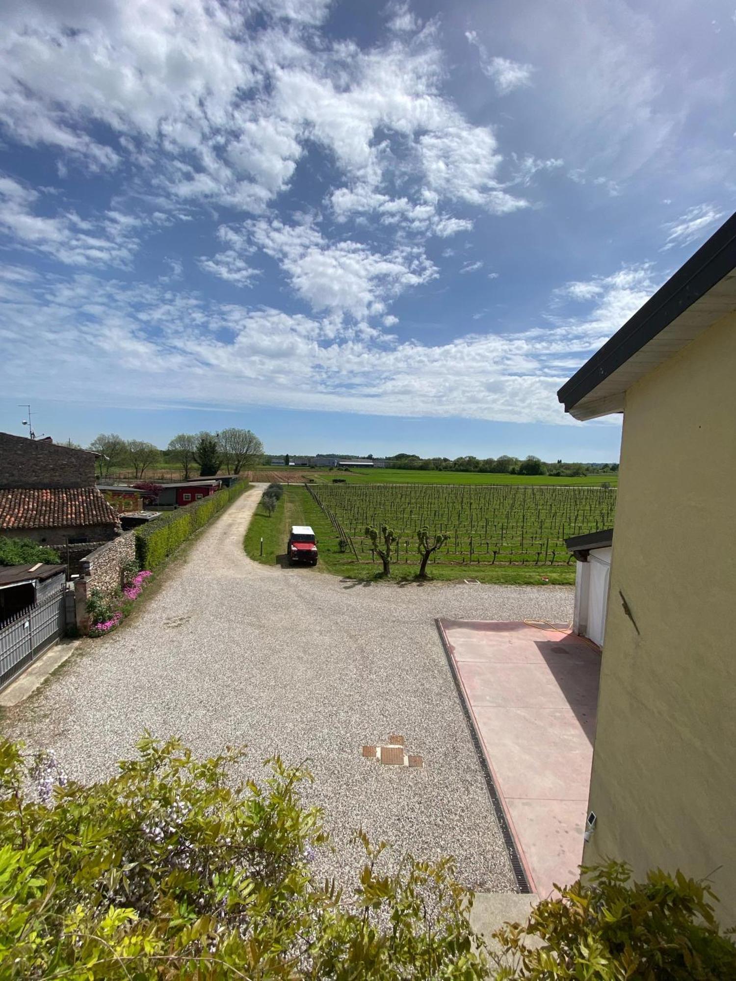 Agriturismo I Mischi Castelnuovo del Garda Dış mekan fotoğraf